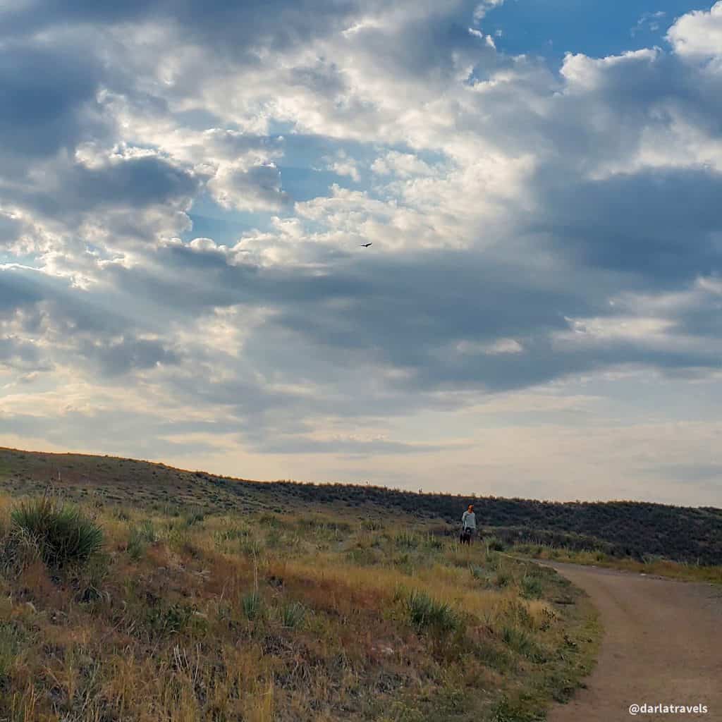 Bluffs Regional Park - Lone tree CO 