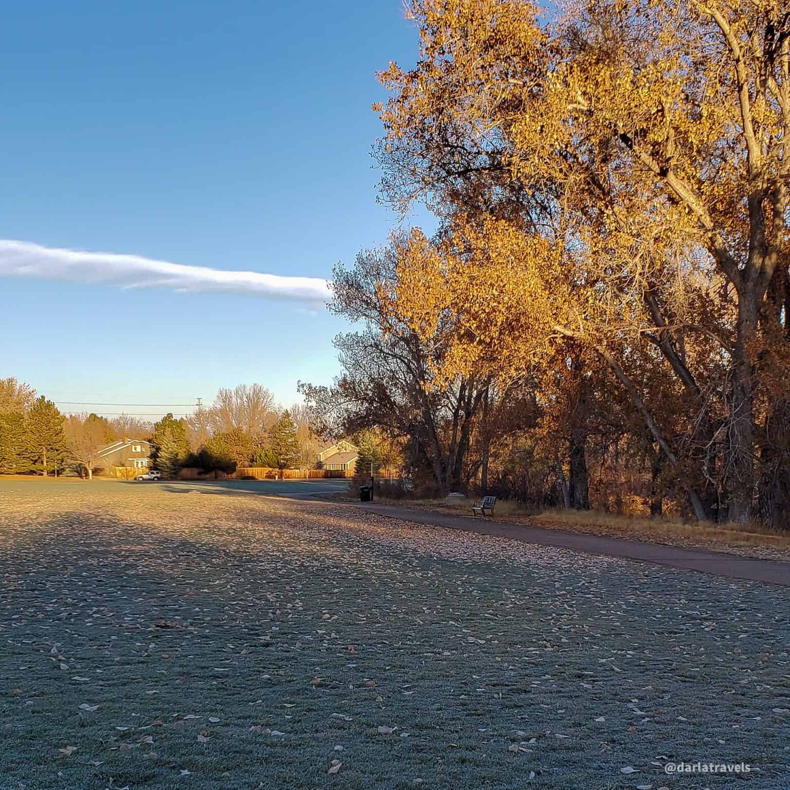 The Willow Creek Trail A Varied Suburban Walk Darla Travels