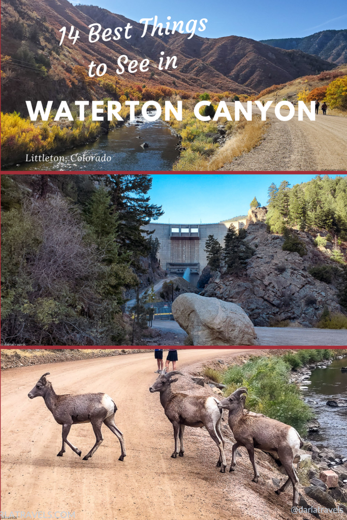 Discovering Waterton Canyon: 14 Best Things to Do - Darla Travels