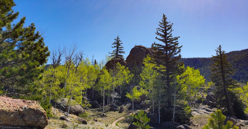 Hiking Trail in Eleven Mile State Park.  Dirt trail, aspens and evergreen trees