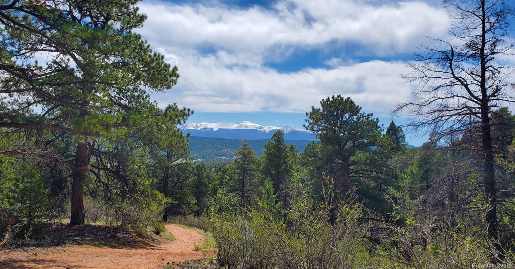 Pike's Peak, capped with snow in the distance, as seen from Hans Loop trail in Florissant Fossil Beds National Monument