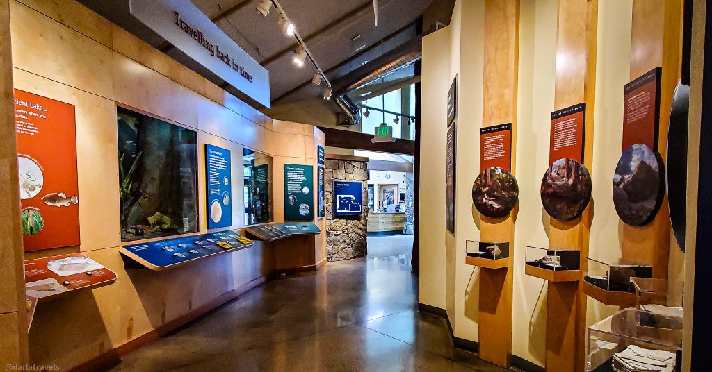 Inside the Visitor Center at Florissant Fossil Beds National Monument; a long hallway has fossil exhibits and learning displays on both sides. 