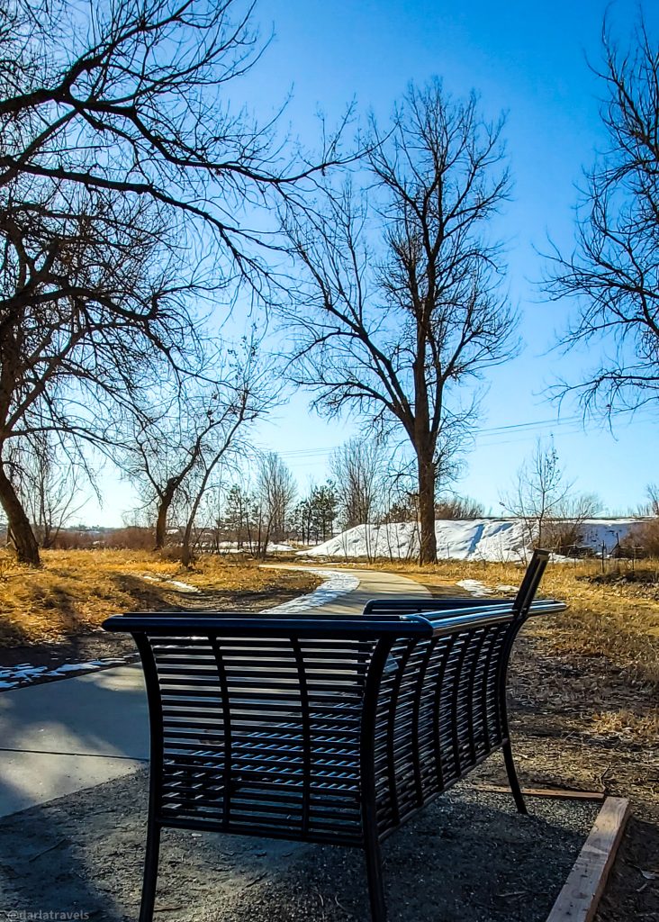 Winter on a paved trail with a metal bench  and tall cottonwood trees.  some snow on the yellowed grass.  Cherry Creek Regional Trail 