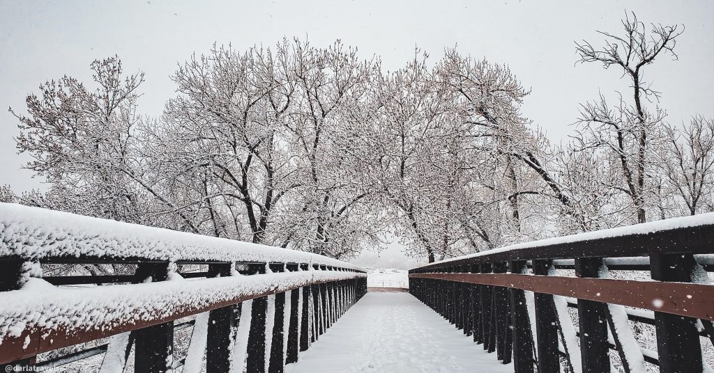 looking down a pedestrian bridge covered in snow in the winter.  The end of the bridge is framed by tall cottonwood trees.  Mary Carter Greenway in the winter.