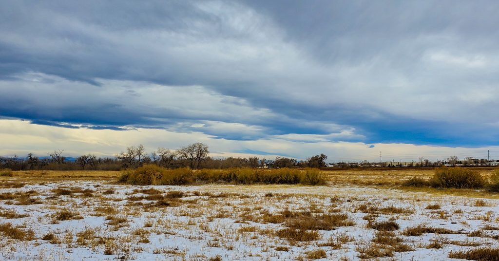 overcast winter day at Star K Ranch, some snow in the foreground, bushes in the midground, tall cottonwood trees further back.