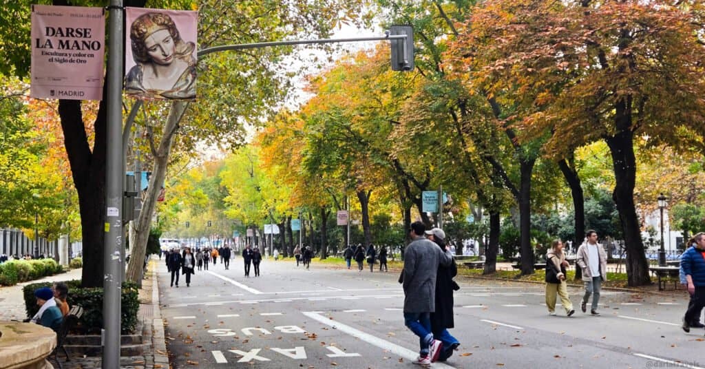 people walking on a closed street next to a tree-lined promenade