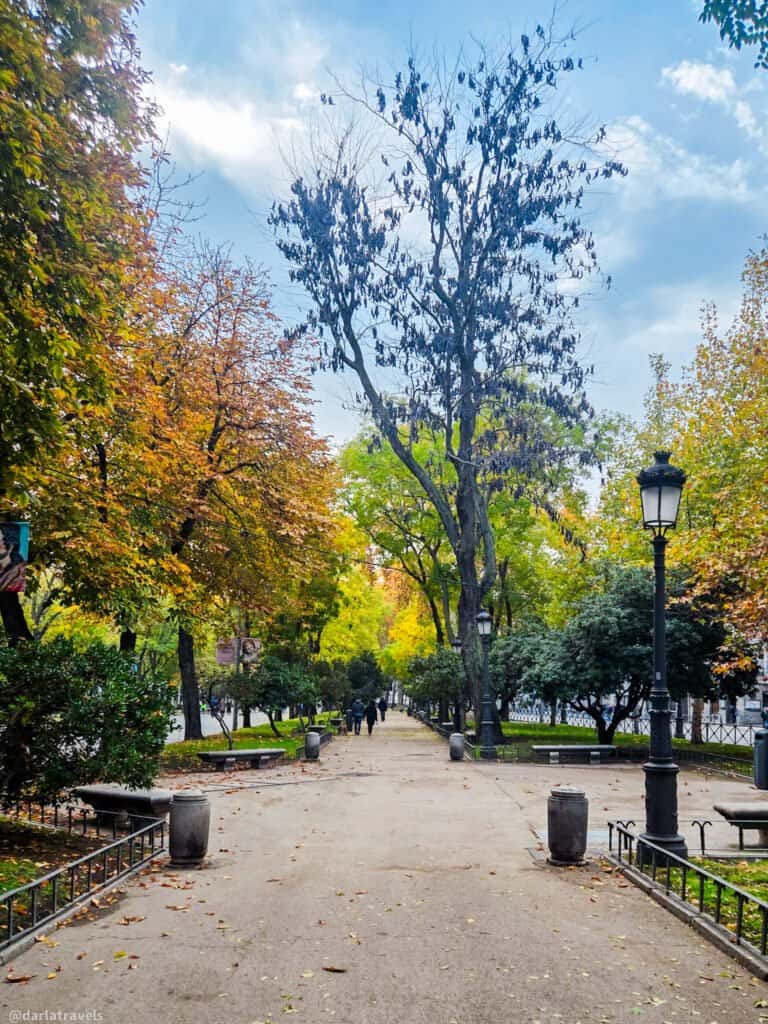 promenade lined with grassy areas, trees, benches, and lightposts