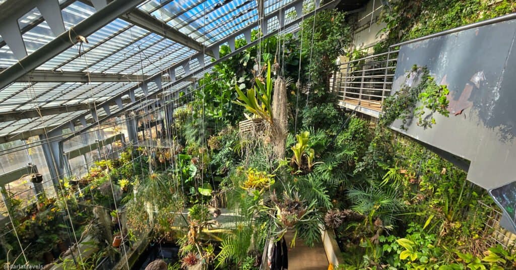 overlooking a greenhouse filled with tropical plants