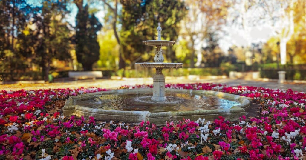 classic fountain surrounded by pink and white flowering plants