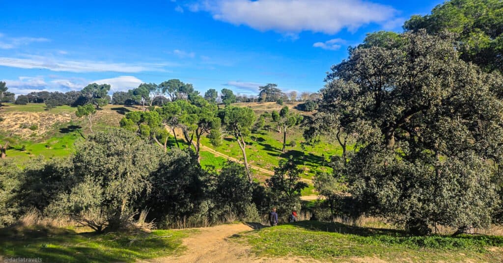 grassy hilly area with trees and trails. Walk in Madrid's parks, Casa de cCampo