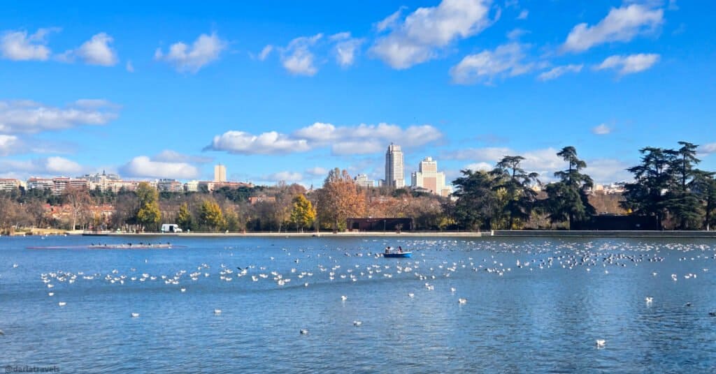 white waterbirds and a rowboat on a lake with trees and skyscrapers in the distance