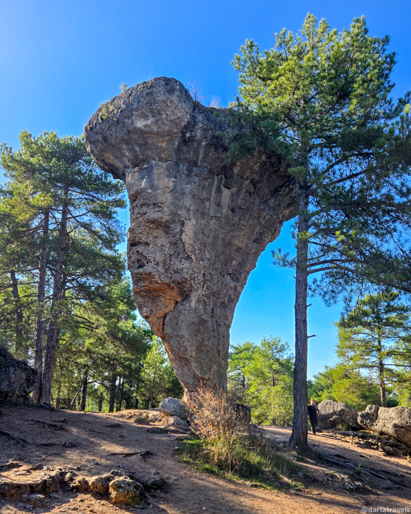 A medium shot of El Tormo Alto (the high Tormo), a tall, uniquely shaped rock formation in the Enchanted City near Cuenca, Spain. The rock resembles a mushroom or goblet, with a wider top and a narrower base. It is surrounded by pine trees, which frame the rock against a clear blue sky. The ground is a mix of dirt and rocks, with a path visible. A person is partially visible in the lower right corner. 