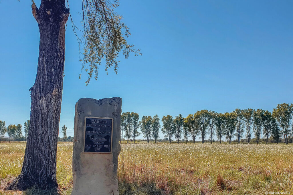 A weathered gray stone monument stands in a field of dry, golden grass under a clear blue sky. A tall, mature tree with a rough, dark trunk is positioned to the left of the monument, partially obscuring it. A bronze plaque is affixed to the face of the stone, bearing an inscription that includes the name "CARSON." In the background, a line of tall, green trees stretches across the horizon. The landscape is open and rural, suggesting a historical marker in a natural setting. The sunlight illuminates the scene, casting a slight shadow from the tree onto the monument.