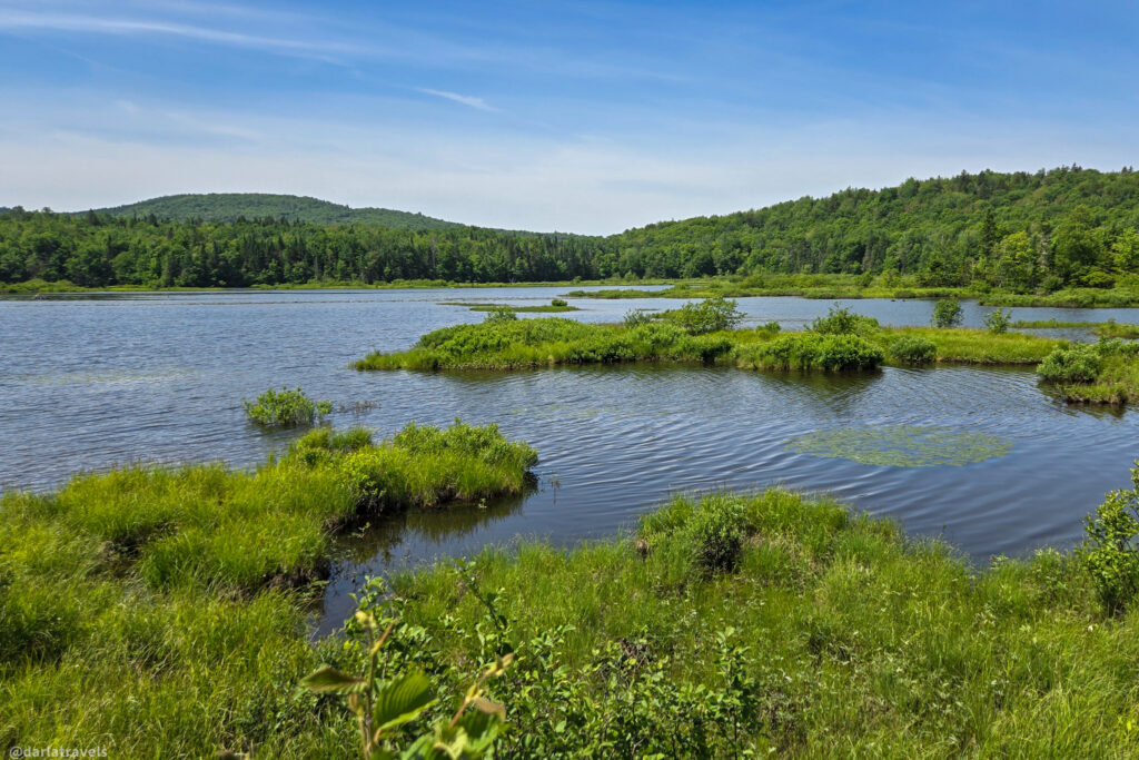 View of calm lake with grassy islets, surrounding forest, and distant hillside under a blue sky.