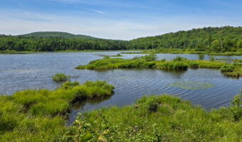 View of calm lake with grassy islets, surrounding forest, and distant hillside under a blue sky.