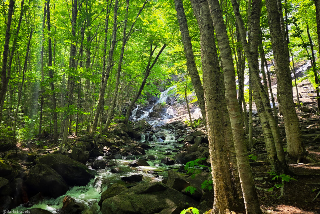 Stream flowing through forest with rocks and waterfall near Delaney Falls trail in Vallée Bras-du-Nord