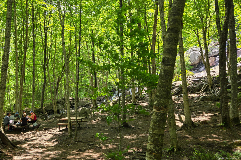 Forested picnic area next to Delaney Falls in Vallée Bras-du-Nord