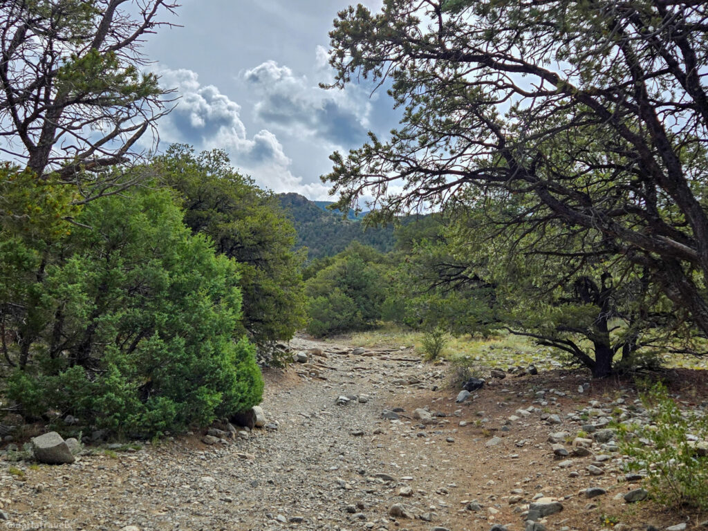 Rocky trail through forested area near Zapata Falls with mountain backdrop under partly cloudy sky.
