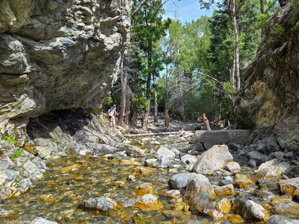 Person standing near rocky stream in forest near Zapata Falls, with clear water and large boulders under tree canopy