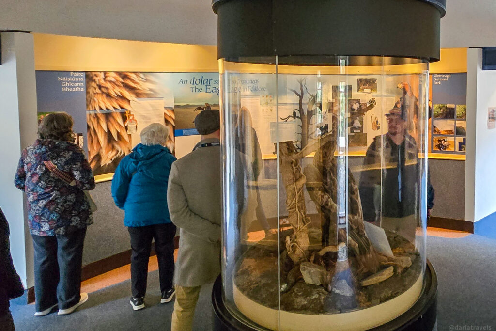 Exhibit at Glenveagh visitor center with golden eagle display and bilingual educational panels