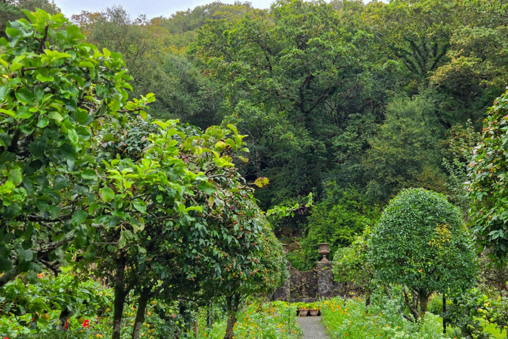 Fruit trees and flowering path in secluded garden near Glenveagh Castle, bordered by forest in Donegal