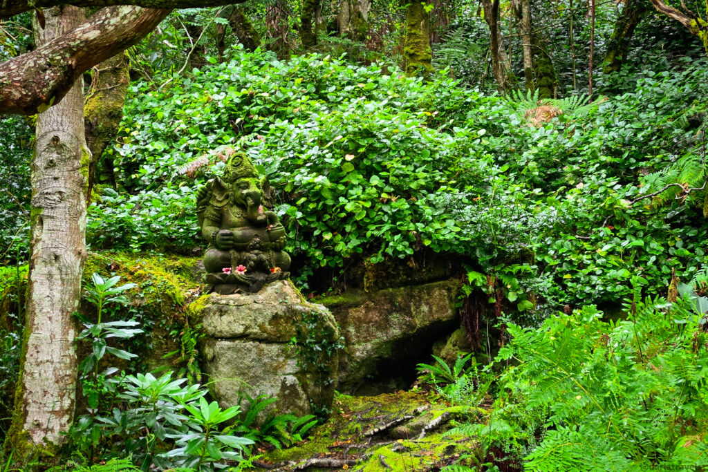 Stone statue of Ganesha in mossy forest setting near Glenveagh Castle, surrounded by ferns and flowers