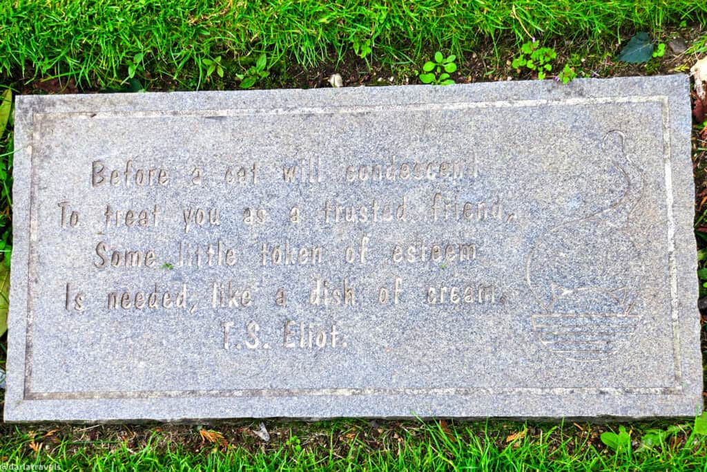 Granite paving stone in Belfast Castle’s Cat Garden engraved with a T.S. Eliot cat quote, bordered by bright green grass.