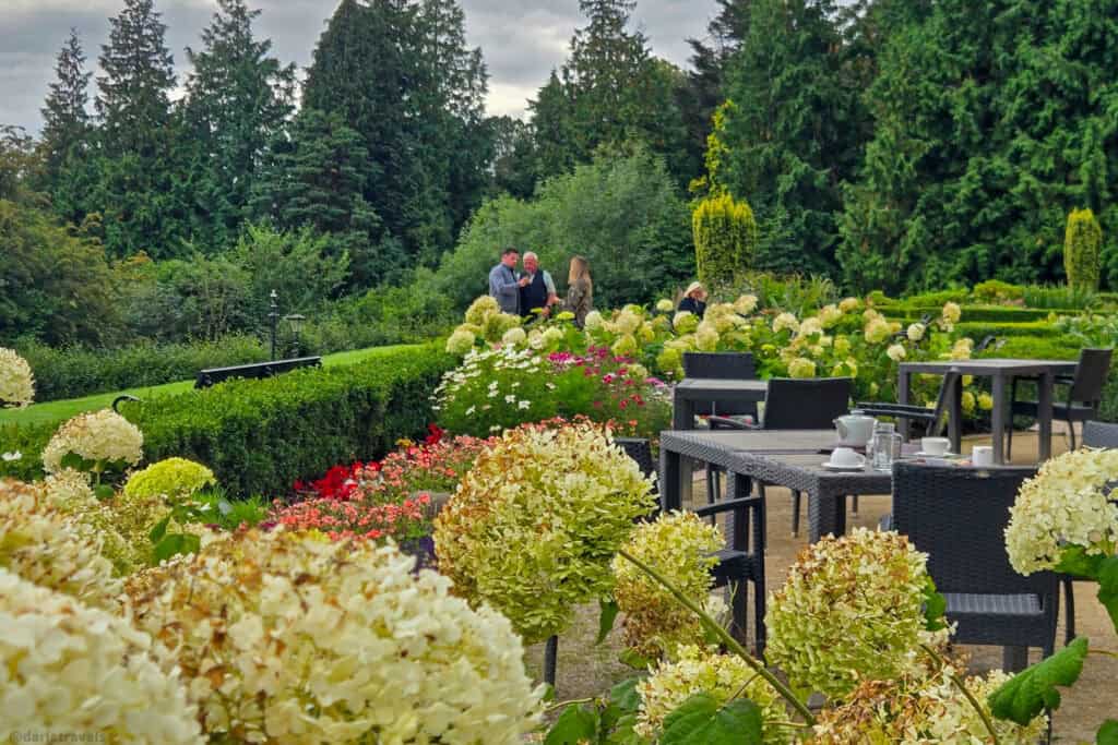 Outdoor café tables set among blooming hydrangeas and manicured hedges on the terrace at Belfast Castle, with a small group of people chatting in the gardens under tall evergreens.