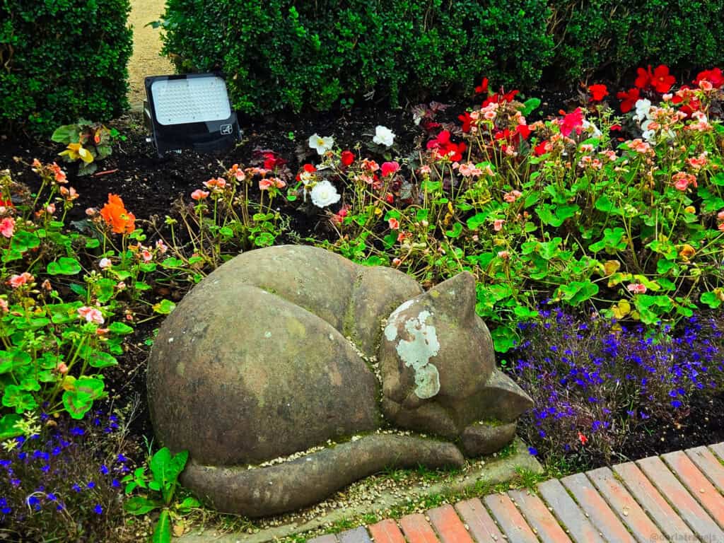 Rounded stone sculpture of a sleeping cat nestled among colorful flowers and low hedges in Belfast Castle’s Cat Garden.