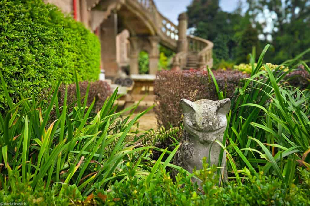 Stone cat statue partially hidden among green shrubs and tall leaves in the gardens below Belfast Castle’s terrace staircase, creating a ‘hidden cat’ effect.