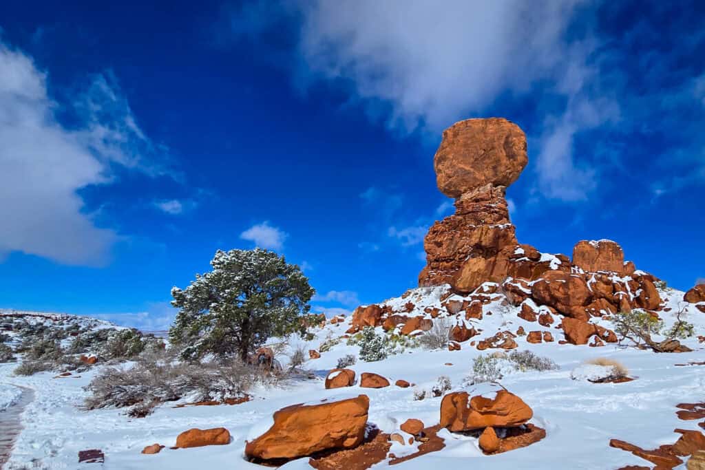 Balanced Rock rising above snowy desert shrubs along a short winter hike in Arches National Park.