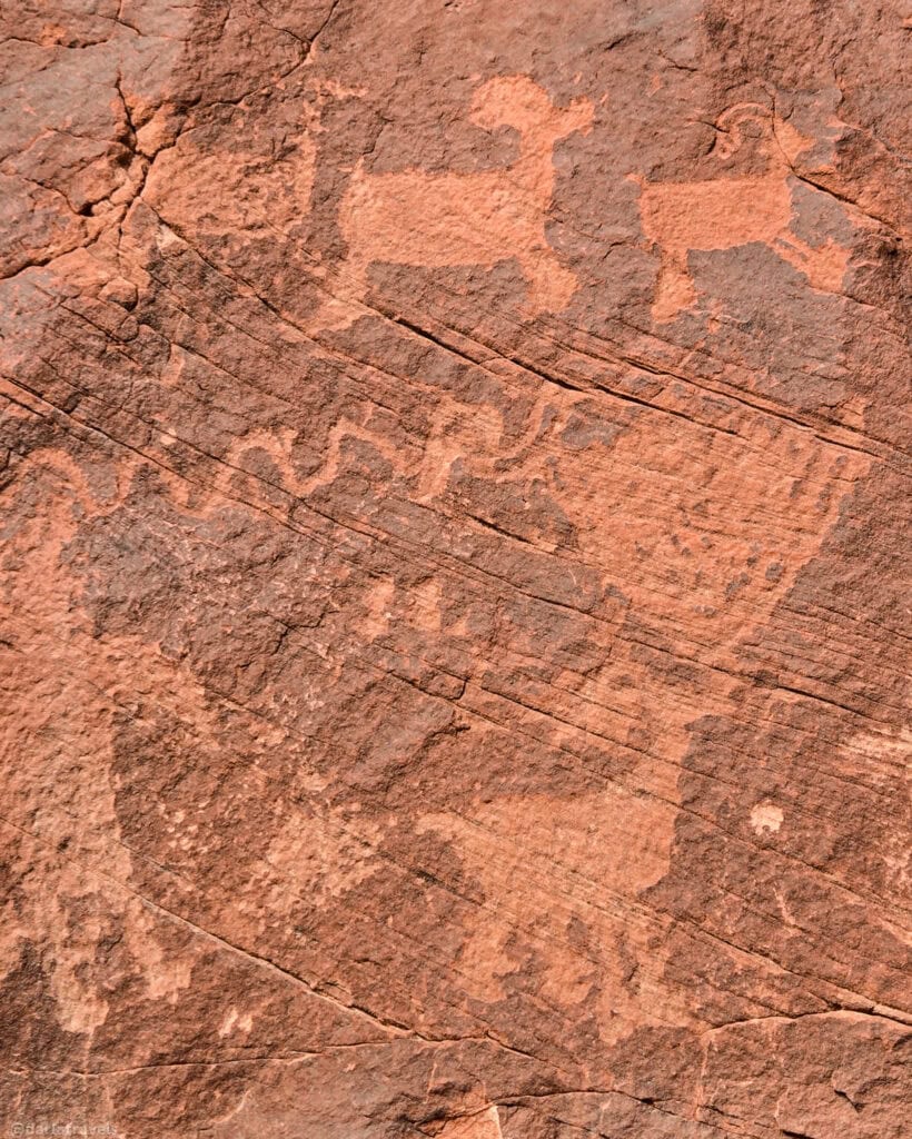 Ancient animal petroglyphs carved into desert rock near Poison Spider Mesa