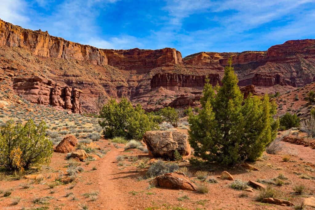 Dirt trail winding through shrubs toward towering red cliffs on a quiet Moab‑area hike.