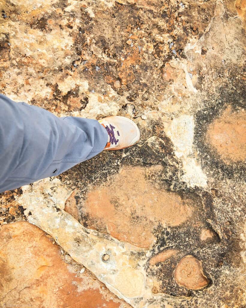 Hiker’s shoe beside a large fossil track on the rocky surface along the Dinosaur Stomping Grounds trail.