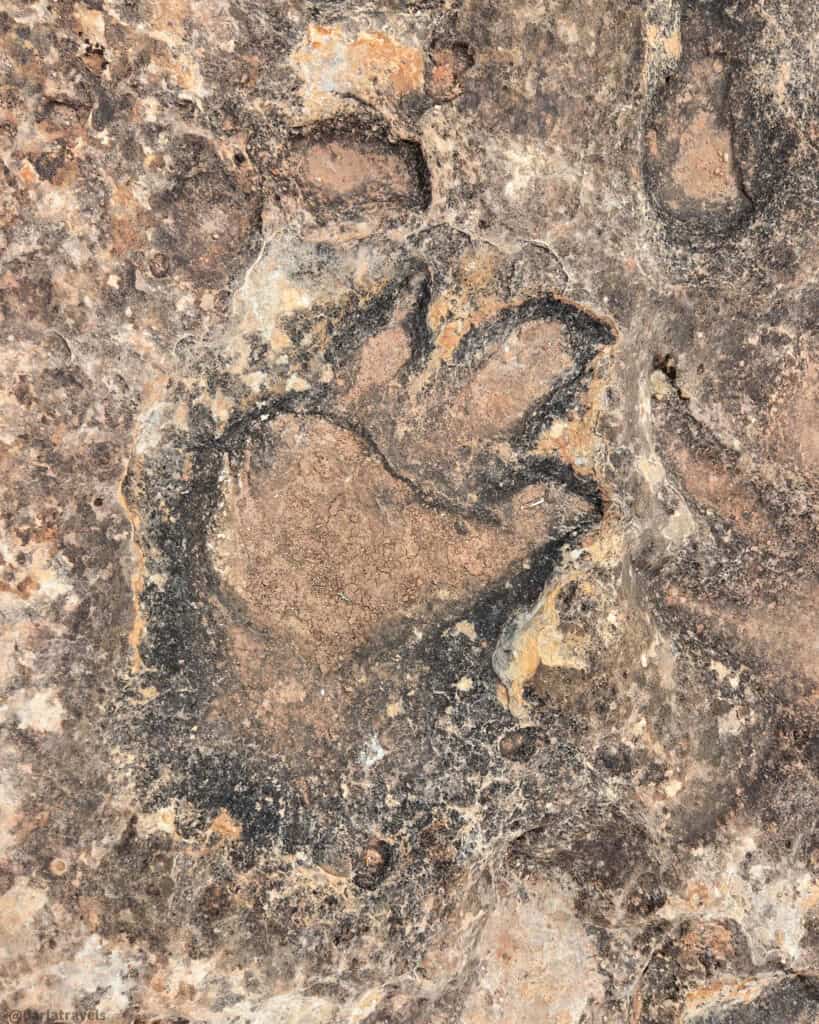 Deep fossil footprint preserved in weathered sandstone along the Dinosaur Stomping Grounds hike.