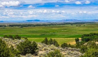 Green San Luis Valley landscape with sagebrush ridge in the foreground and distant mesas under a cloudy sky in southern Colorado