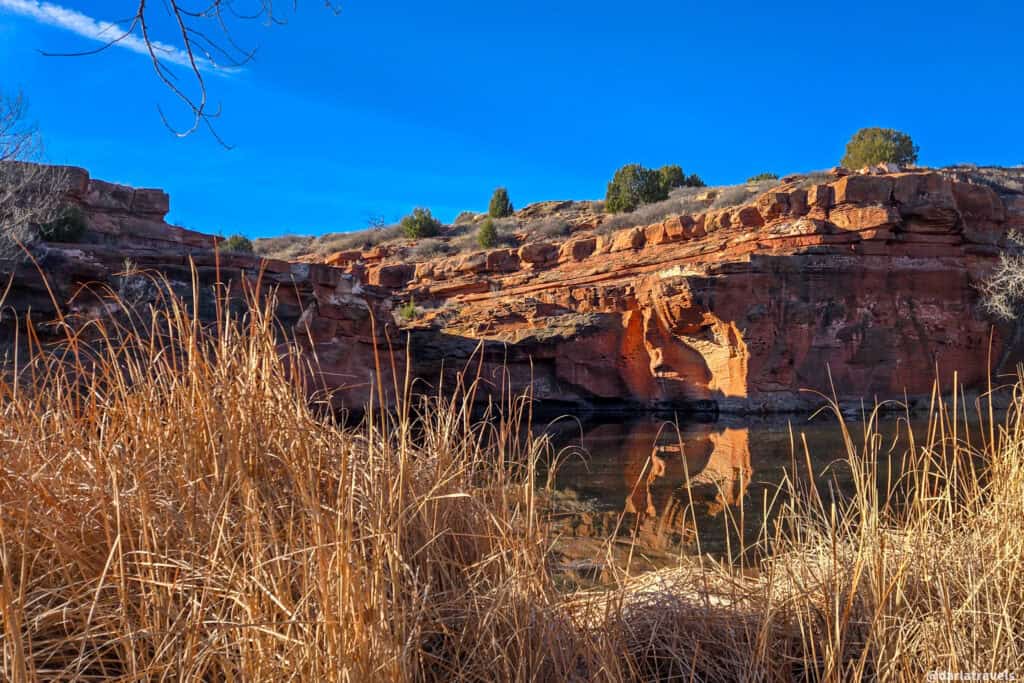 Red sandstone canyon walls reflected in a still pool, framed by dry golden grasses under a clear blue sky.