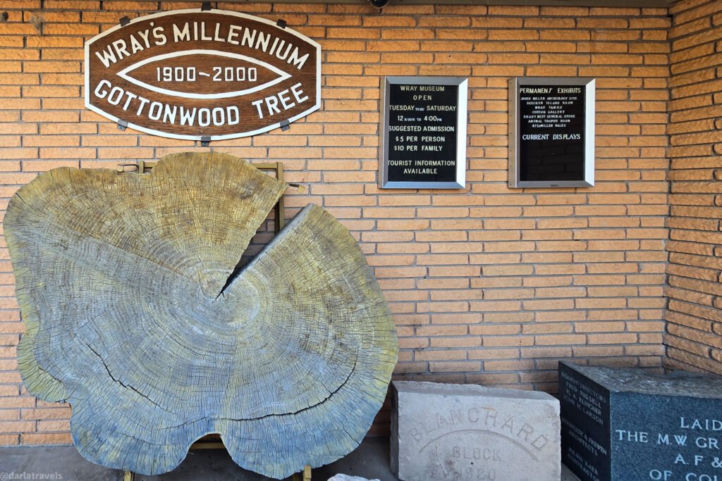 Wray's Millennium Cottonwood Tree display next to the Wray Museum entrance.