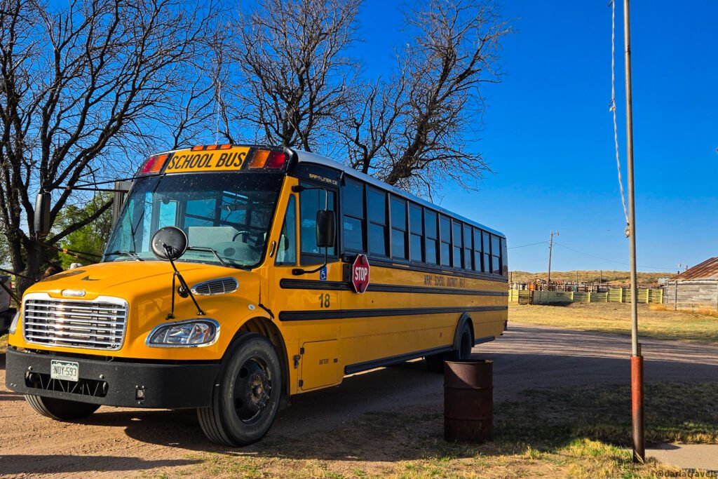 A bright yellow school bus is parked on a dirt lot under a clear blue sky, with bare trees and distant fields in the background.