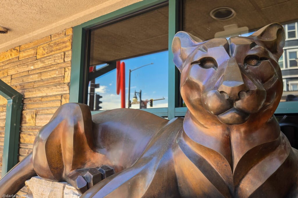 Bronze sculpture of a reclining cougar outside a building in downtown Loveland, Colorado.